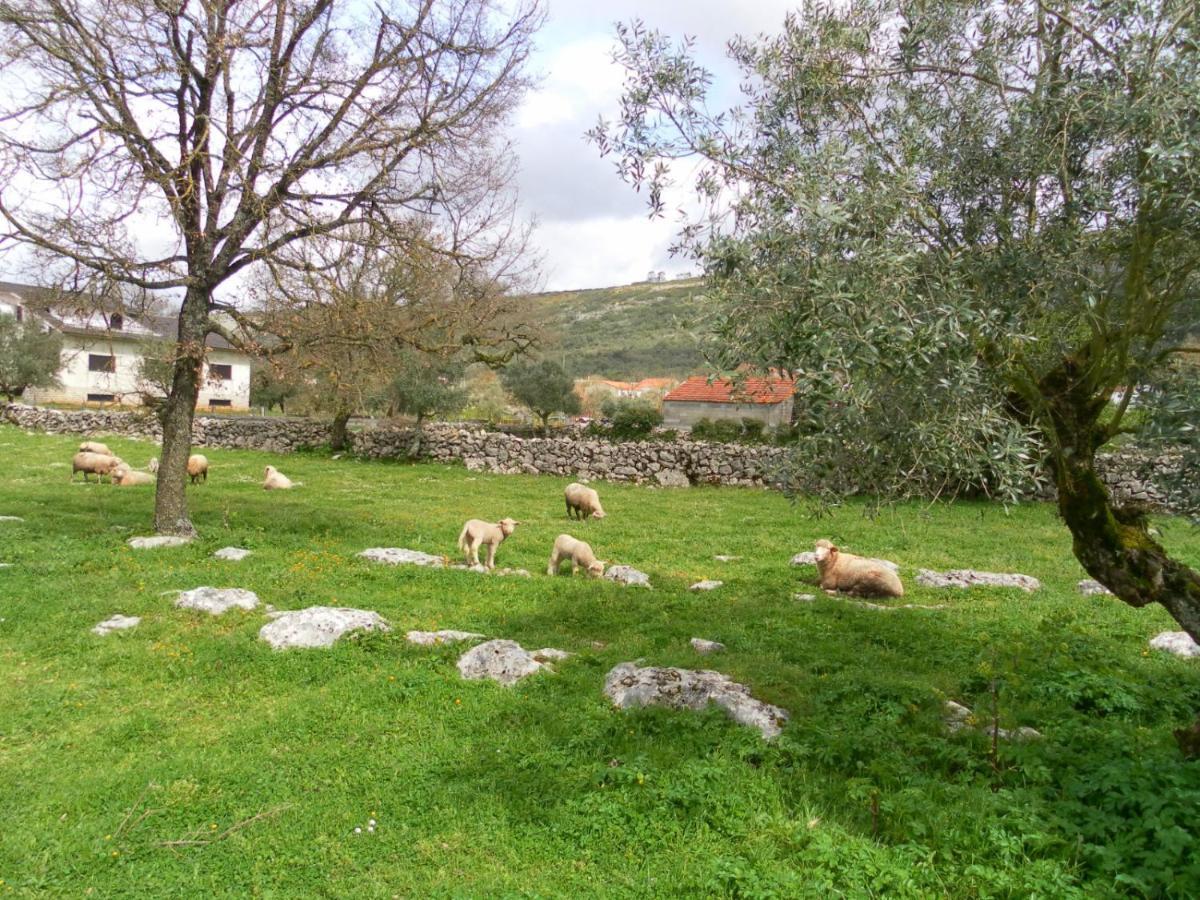 Retiro Da Avo Lidia - Turismo Rural Mendiga Eksteriør billede